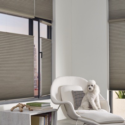 Hunter Douglas Dealer Image